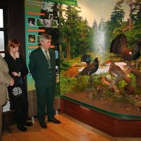 Exhibition – ‘Grouse in the forests of Silesian Beskidy’